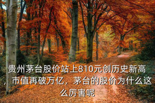 貴州茅臺股價站上810元創(chuàng)歷史新高，市值再破萬億，茅臺的股價為什么這么厲害呢