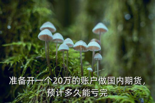 準(zhǔn)備開一個20萬的賬戶做國內(nèi)期貨，預(yù)計多久能虧完