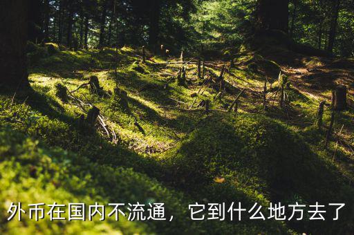 外幣在國(guó)內(nèi)不流通，它到什么地方去了