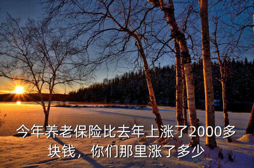 今年養(yǎng)老保險比去年上漲了2000多塊錢，你們那里漲了多少