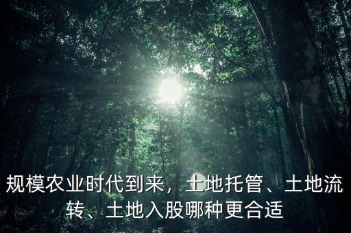 規(guī)模農(nóng)業(yè)時代到來，土地托管、土地流轉(zhuǎn)、土地入股哪種更合適