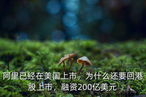 阿里已經(jīng)在美國上市，為什么還要回港股上市，融資200億美元