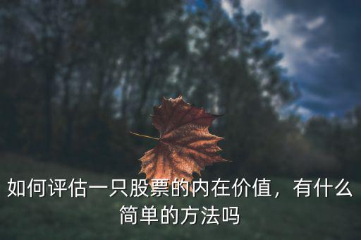 如何評(píng)估一只股票的內(nèi)在價(jià)值，有什么簡(jiǎn)單的方法嗎