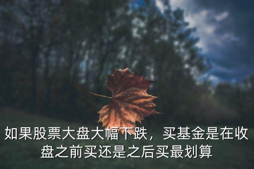 如果股票大盤(pán)大幅下跌，買(mǎi)基金是在收盤(pán)之前買(mǎi)還是之后買(mǎi)最劃算