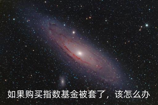 如果購(gòu)買(mǎi)指數(shù)基金被套了，該怎么辦