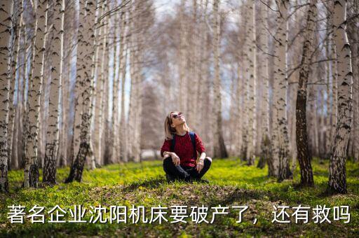 著名企業(yè)沈陽機床要破產(chǎn)了，還有救嗎