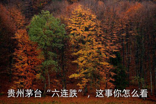 貴州茅臺“六連跌”，這事你怎么看