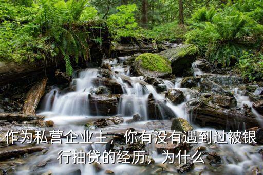 作為私營企業(yè)主，你有沒有遇到過被銀行抽貸的經(jīng)歷，為什么