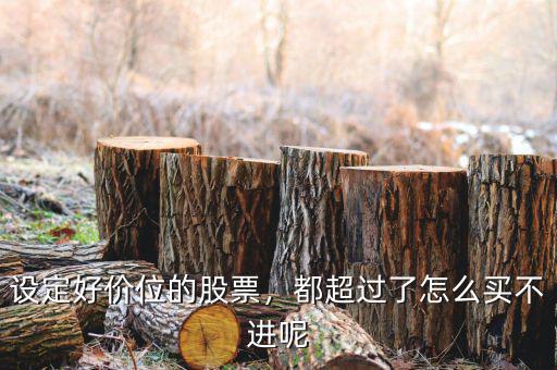 設(shè)定好價(jià)位的股票，都超過(guò)了怎么買不進(jìn)呢