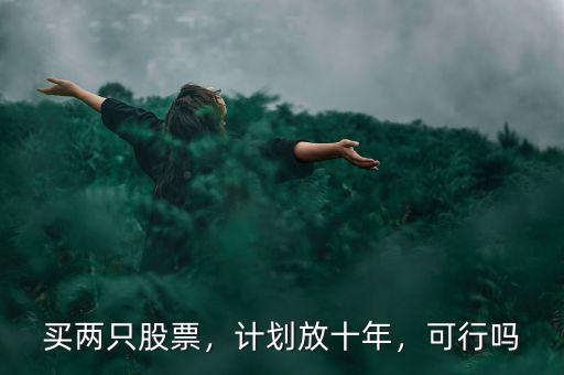 買兩只股票，計(jì)劃放十年，可行嗎