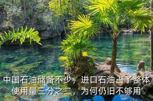 中國石油儲(chǔ)備不少，進(jìn)口石油占了整體使用量三分之二，為何仍舊不夠用