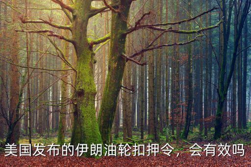 美國發(fā)布的伊朗油輪扣押令，會有效嗎