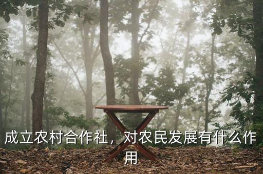 成立農(nóng)村合作社，對農(nóng)民發(fā)展有什么作用