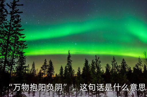 “萬物抱陽負陰”，這句話是什么意思