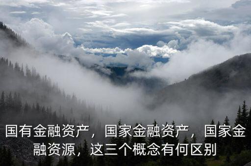 國(guó)有金融資產(chǎn)，國(guó)家金融資產(chǎn)，國(guó)家金融資源，這三個(gè)概念有何區(qū)別