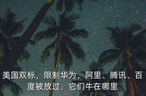 美國(guó)雙標(biāo)，限制華為，阿里、騰訊、百度被放過(guò)，它們牛在哪里