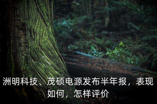 洲明科技、茂碩電源發(fā)布半年報，表現(xiàn)如何，怎樣評價