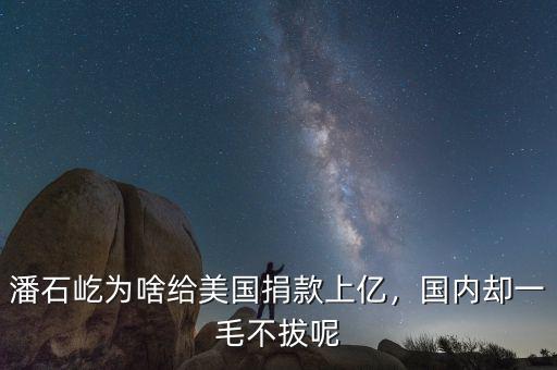 潘石屹為啥給美國(guó)捐款上億，國(guó)內(nèi)卻一毛不拔呢