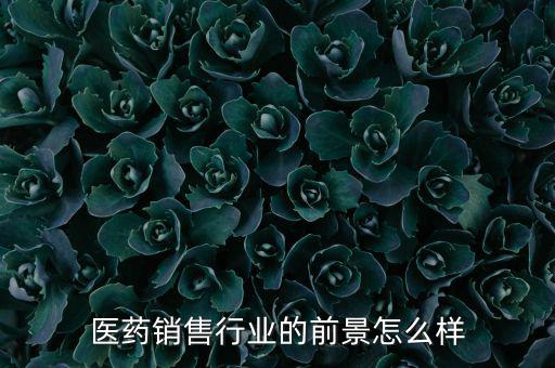 醫(yī)藥銷(xiāo)售行業(yè)的前景怎么樣