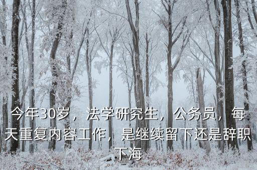 今年30歲，法學(xué)研究生，公務(wù)員，每天重復(fù)內(nèi)容工作，是繼續(xù)留下還是辭職下海