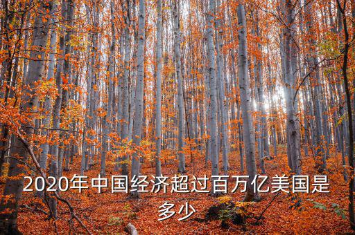 2020年中國經濟超過百萬億美國是多少