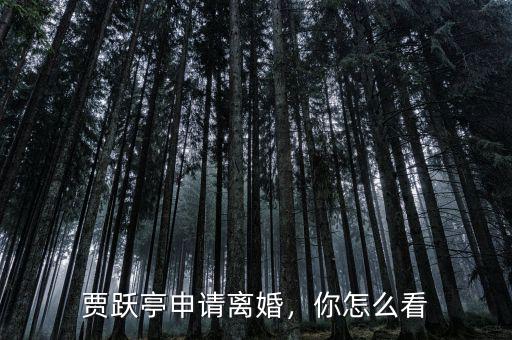 賈躍亭申請離婚，你怎么看