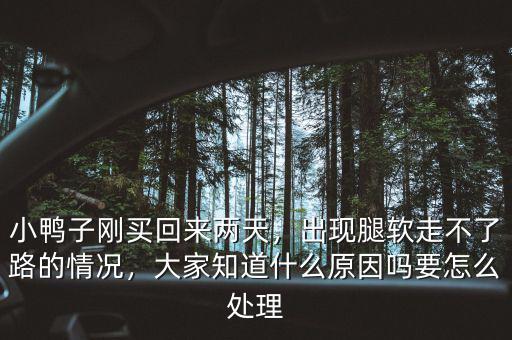 小鴨子剛買回來(lái)兩天，出現(xiàn)腿軟走不了路的情況，大家知道什么原因嗎要怎么處理