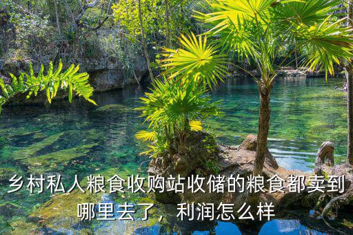 鄉(xiāng)村私人糧食收購站收儲的糧食都賣到哪里去了，利潤怎么樣