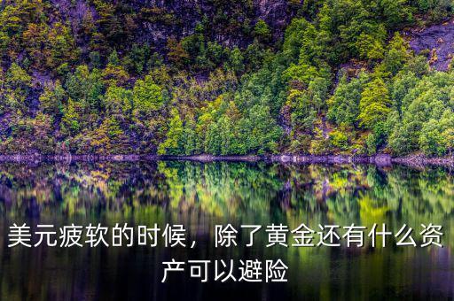 美元疲軟的時候，除了黃金還有什么資產(chǎn)可以避險