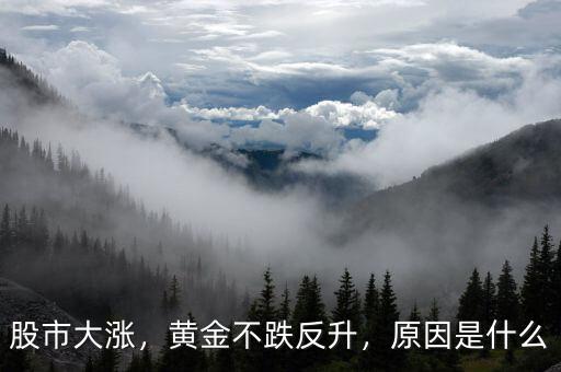 股市大漲，黃金不跌反升，原因是什么