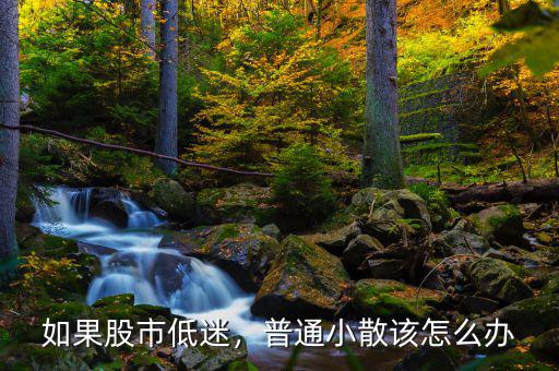 如果股市低迷，普通小散該怎么辦