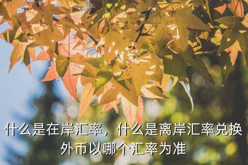 什么是在岸匯率，什么是離岸匯率兌換外幣以哪個匯率為準(zhǔn)