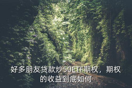 好多朋友貸款炒50ETF期權(quán)，期權(quán)的收益到底如何
