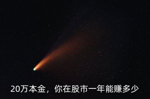 20萬本金，你在股市一年能賺多少