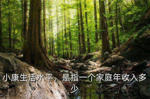 小康生活水平，是指一個家庭年收入多少