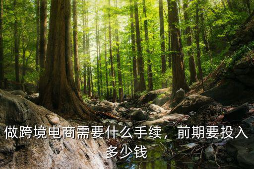 做跨境電商需要什么手續(xù)，前期要投入多少錢