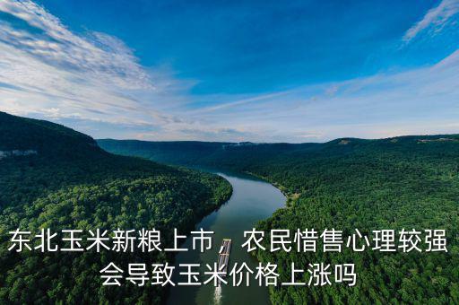 東北玉米新糧上市，農(nóng)民惜售心理較強會導致玉米價格上漲嗎