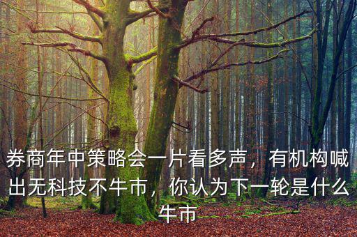 券商年中策略會(huì)一片看多聲，有機(jī)構(gòu)喊出無(wú)科技不牛市，你認(rèn)為下一輪是什么牛市