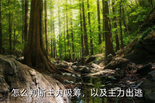 怎么判斷主力吸籌，以及主力出逃