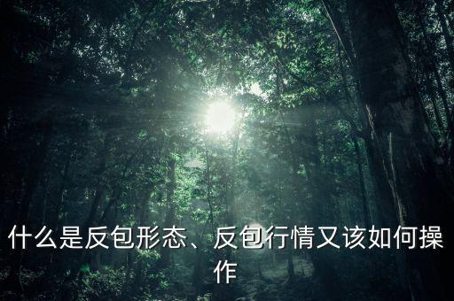 什么是反包形態(tài)、反包行情又該如何操作