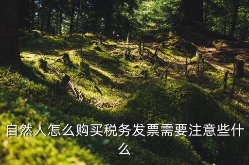 自然人怎么購(gòu)買稅務(wù)發(fā)票需要注意些什么