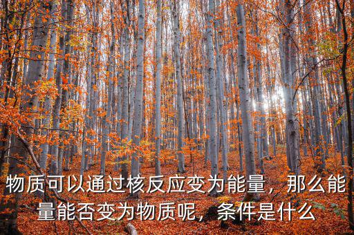 物質(zhì)可以通過核反應(yīng)變?yōu)槟芰浚敲茨芰磕芊褡優(yōu)槲镔|(zhì)呢，條件是什么