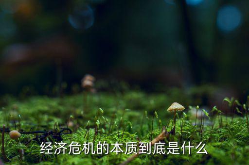 經濟危機從什么時候開始,美國什么時候出現經濟危機