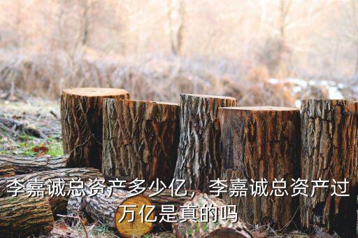 李嘉誠總資產(chǎn)多少億，李嘉誠總資產(chǎn)過萬億是真的嗎