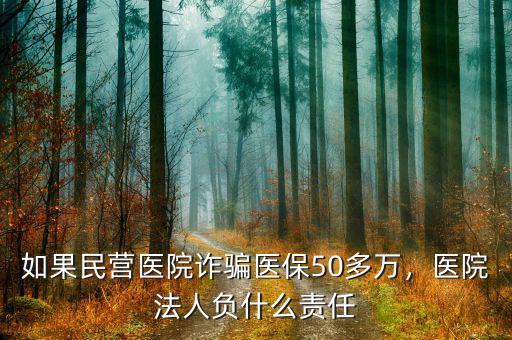 如果民營醫(yī)院詐騙醫(yī)保50多萬，醫(yī)院法人負(fù)什么責(zé)任