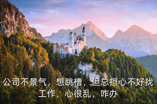 公司不景氣，想跳槽，但總擔(dān)心不好找工作，心很亂，咋辦