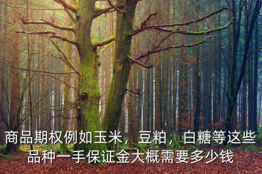 商品期權(quán)例如玉米，豆粕，白糖等這些品種一手保證金大概需要多少錢