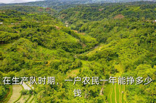在生產(chǎn)隊時期，一戶農(nóng)民一年能掙多少錢