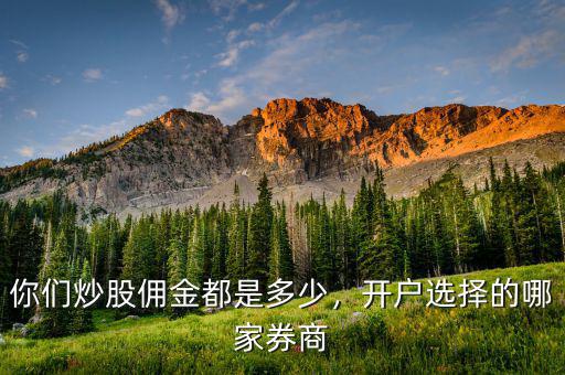 你們炒股傭金都是多少，開戶選擇的哪家券商