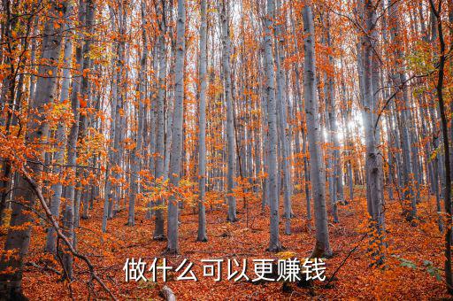 做什么可以更賺錢(qián)